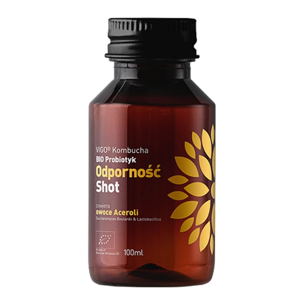 Kombucha BIO Tir de résistance probiotique 100ml VIGO