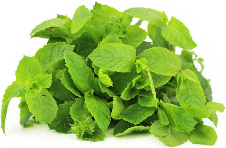Menthe fraîche BIO (Polonais) (environ 50 g)