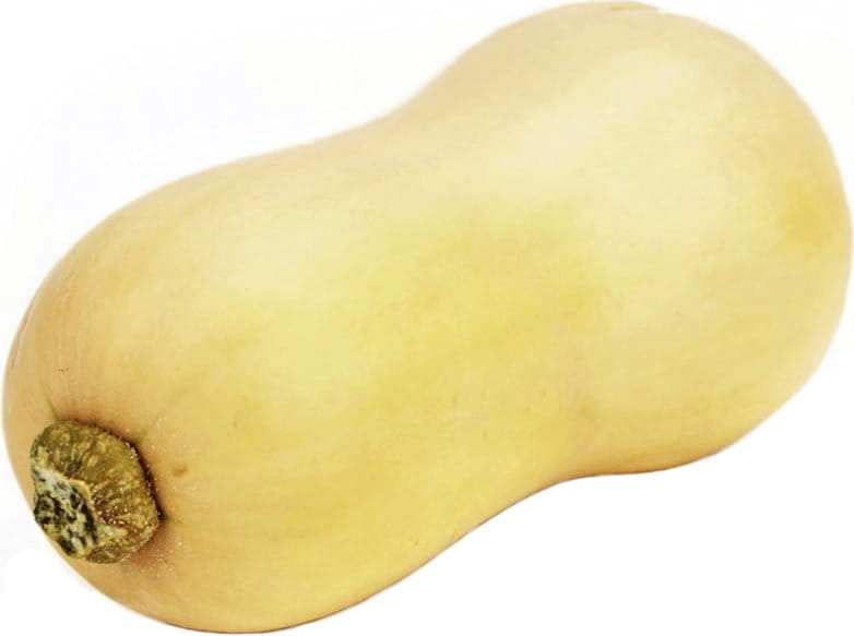 Colis collectif (kg) - butternut courge musquée fraîche BIO (environ 10 kg)