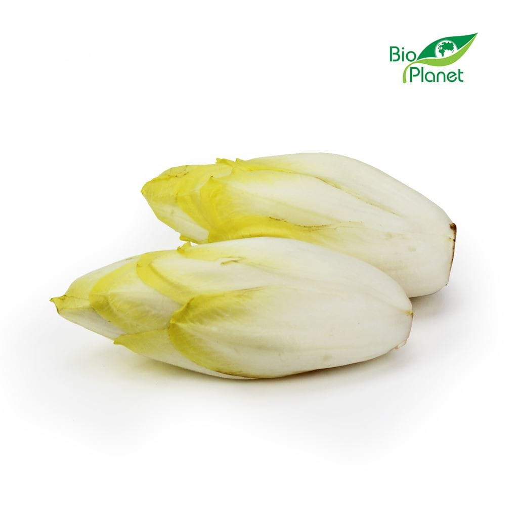 Chicorée fraîche BIO (environ 0,50 kg)
