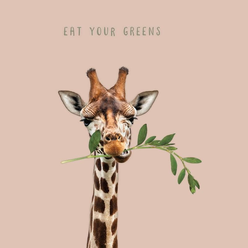 Serviettes de table en bambou Eat your greens 20 pcs - CHIC - MIC
