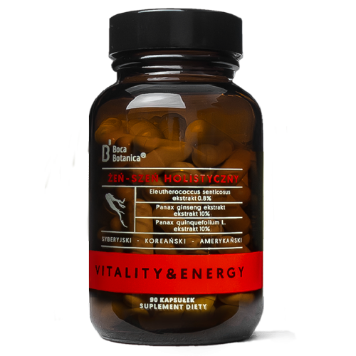 Ginseng holistique 90 gélules BOCA BOTANICA