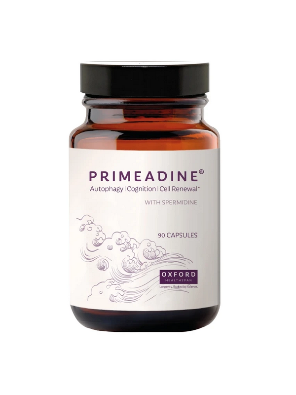 Spermidine primeadine Germe de Blé 90 gélules KENAY