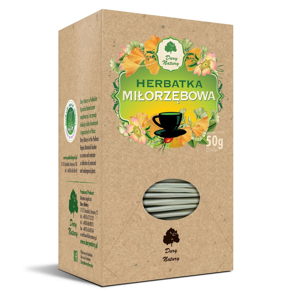 Thé Ginkgo biloba fix 25 x 2g DARY NATURY